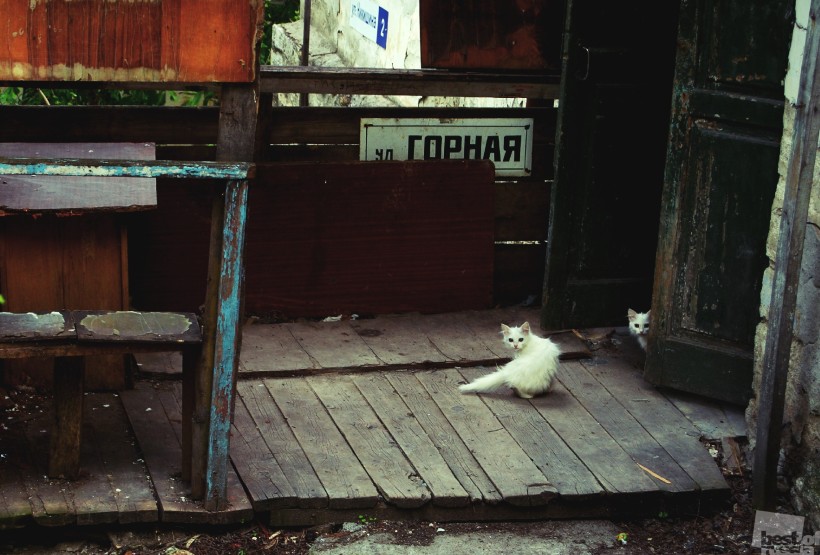 На улице Горной.