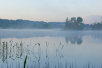 Утро на лесном озере
