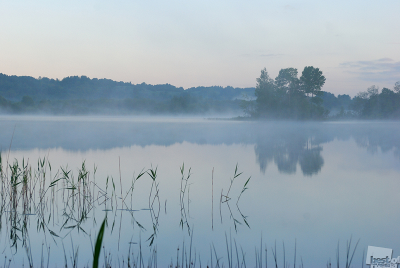 Утро на лесном озере