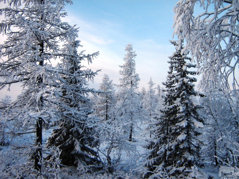 Зимний день на Ямале
