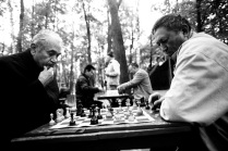 шахматы в Сокольниках