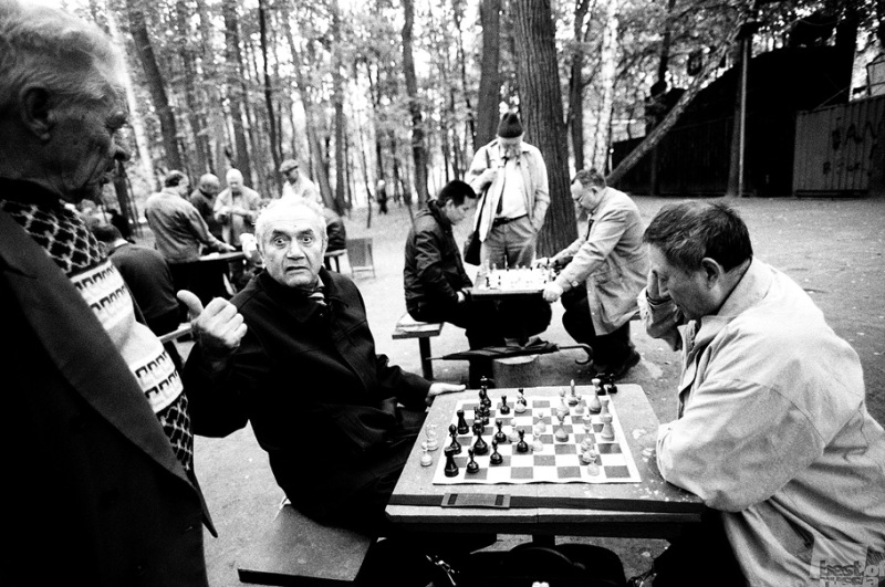 шахматы в Сокольниках