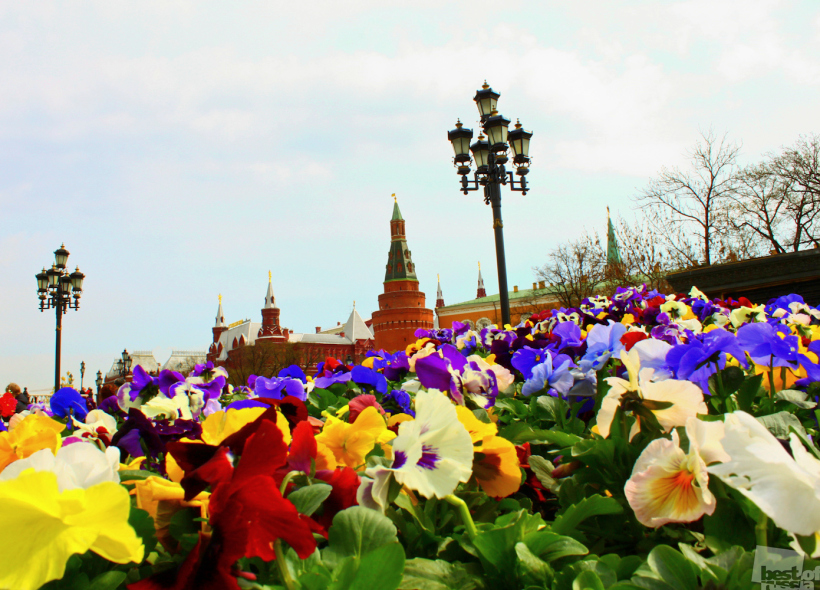сердце Москвы