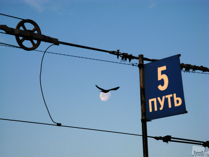 Я бы тоже полетел, но надо ехать.