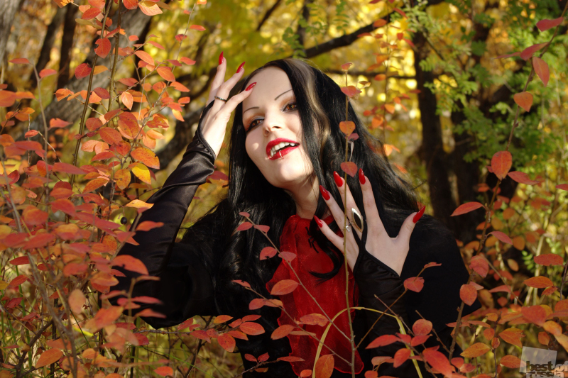 autumn in vampire square...