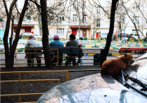во дворе