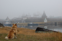 Думатель