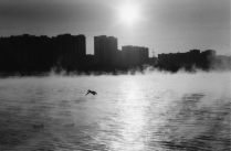 москва. марьино