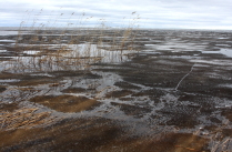 Рыбинское море полное черного льда.