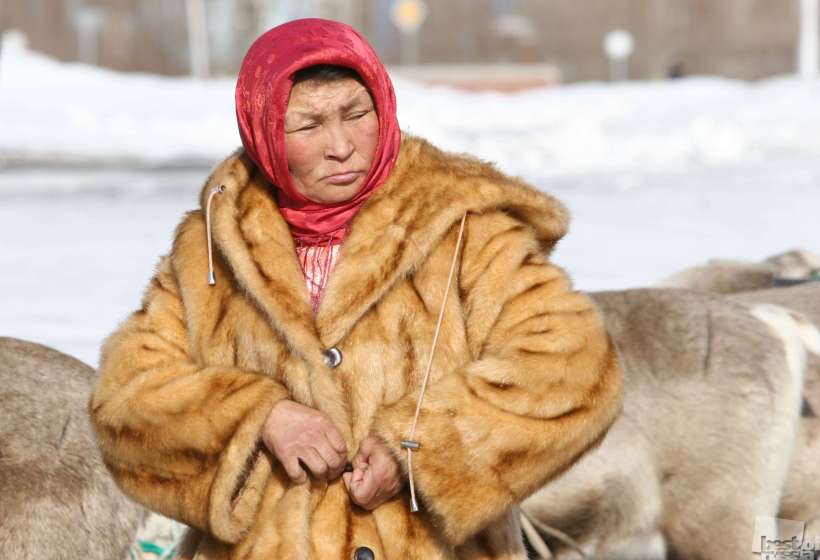 Свекровь