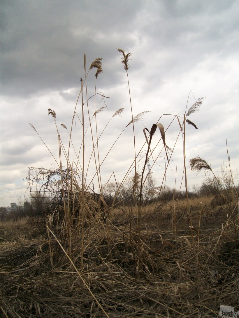 Апрель