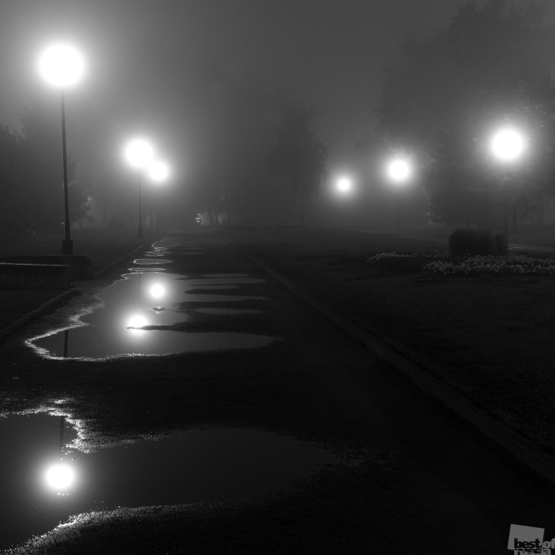Осенний бульвар в осеннем тумане