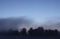 Августовский туман