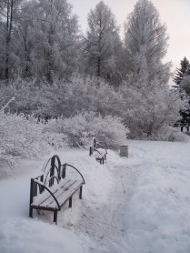 Сказочная зима