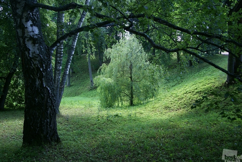 Там чудеса