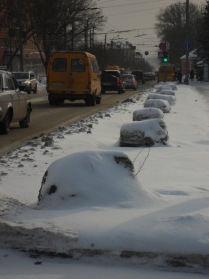 Перезимуем?