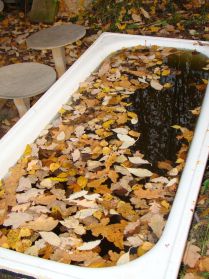 Осенняя лиственная ванна