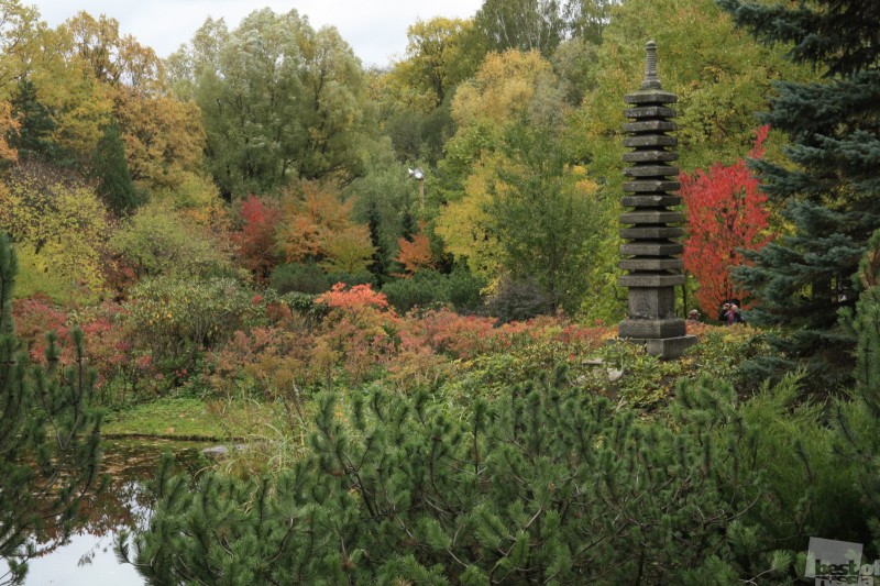 Осень в японском садике.