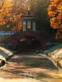 Осеннее утро в Александровском парке