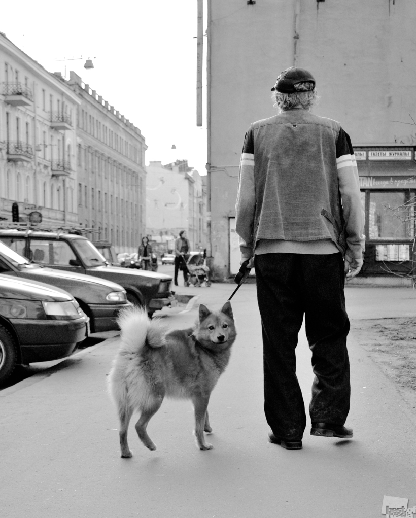 Собаки не болтают
